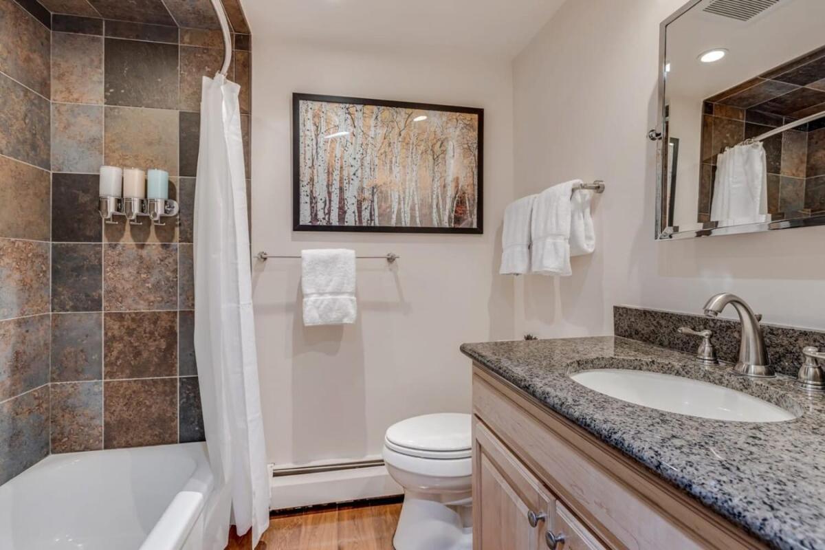 Apartment New Listing 2br 2ba - Mountain Views Aspen