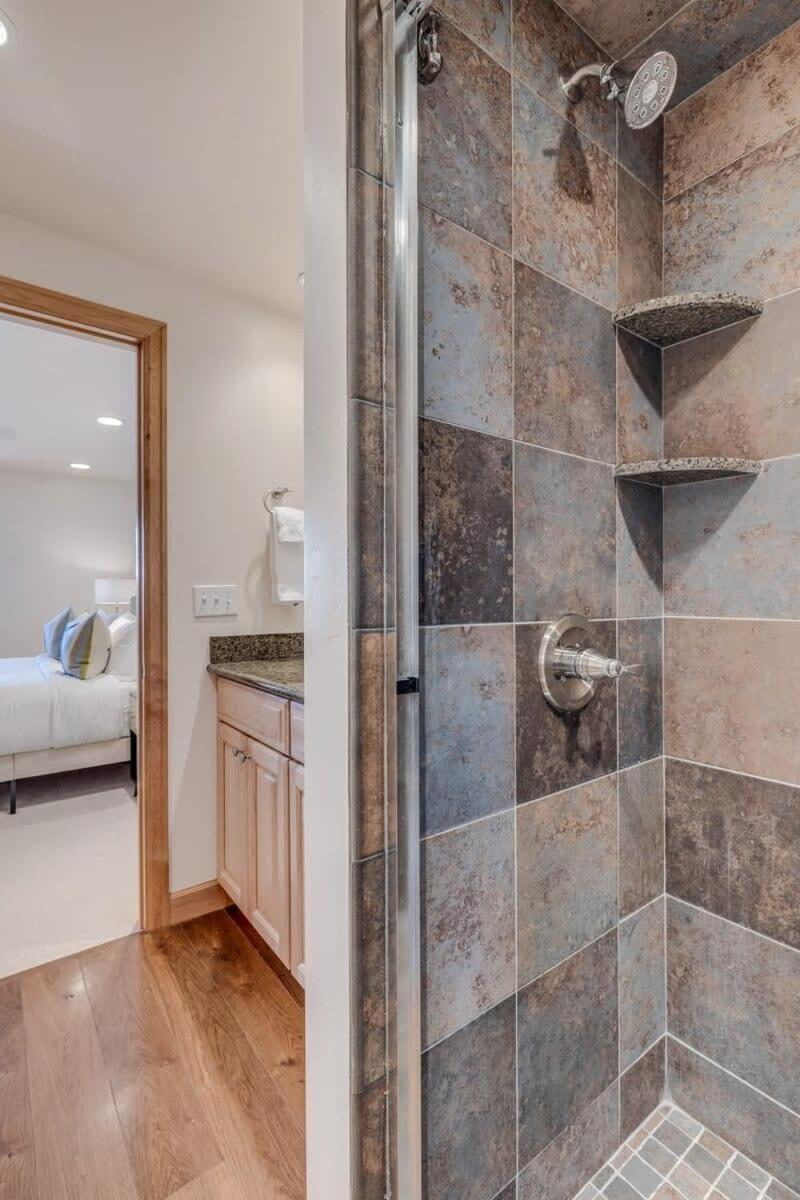 New Listing 2br 2ba - Mountain Views Aspen